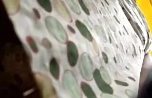 Aku bokep muda mudi jaman now butuh lebih banyak waktu, dua. bagian.