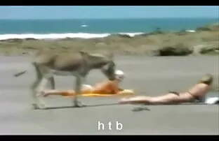 Video perbudakan tahun ke-25. Bagian B bokep mama muda selingkuh